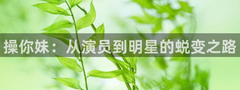 星空的视频