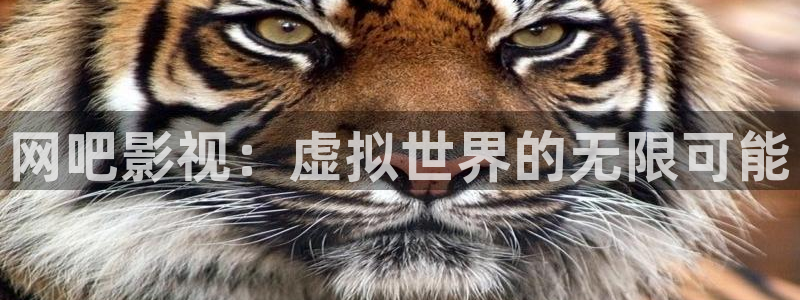 星空影院在线免费观看电影