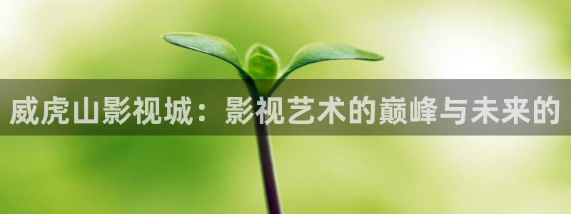 麻花星空无限mv免费播放