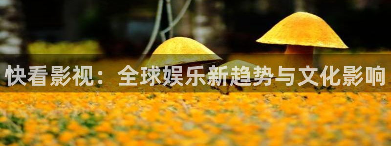 互联星空影院